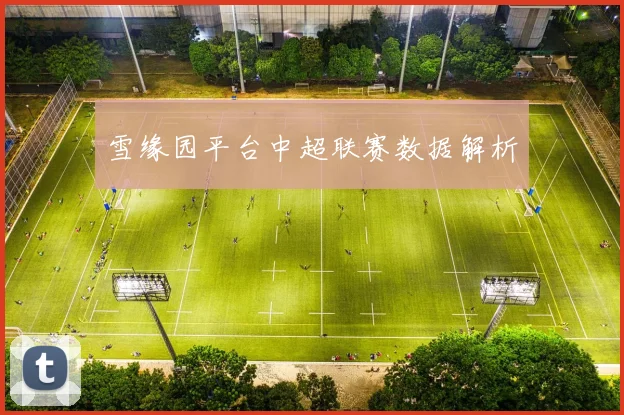 雪缘园平台中超联赛数据解析
