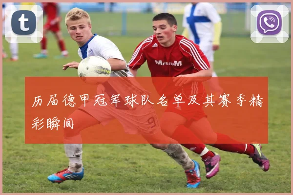 历届德甲冠军球队名单及其赛季精彩瞬间