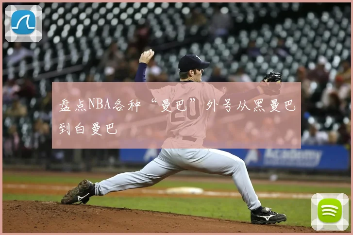 盘点NBA各种“曼巴”外号从黑曼巴到白曼巴